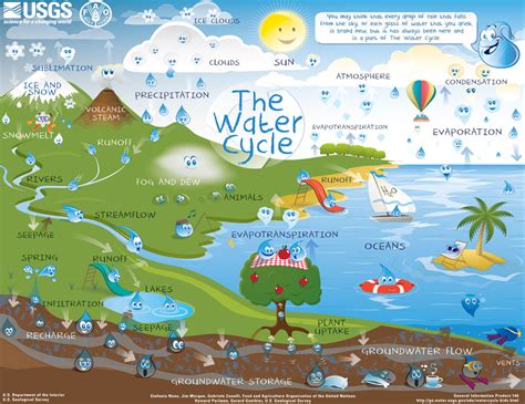 interactive water cycle for kids.